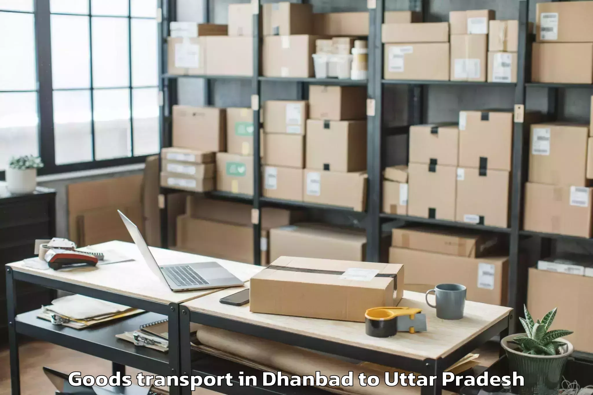 Top Dhanbad to Hapur Goods Transport Available